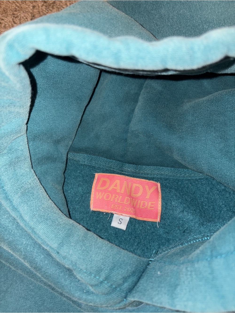 NEW WITHOUT TAGS Dandy Worldwide Halle x Dandy Adventure Hoodie - Picture 6 of 7